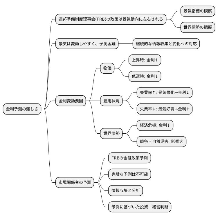 将来の展望