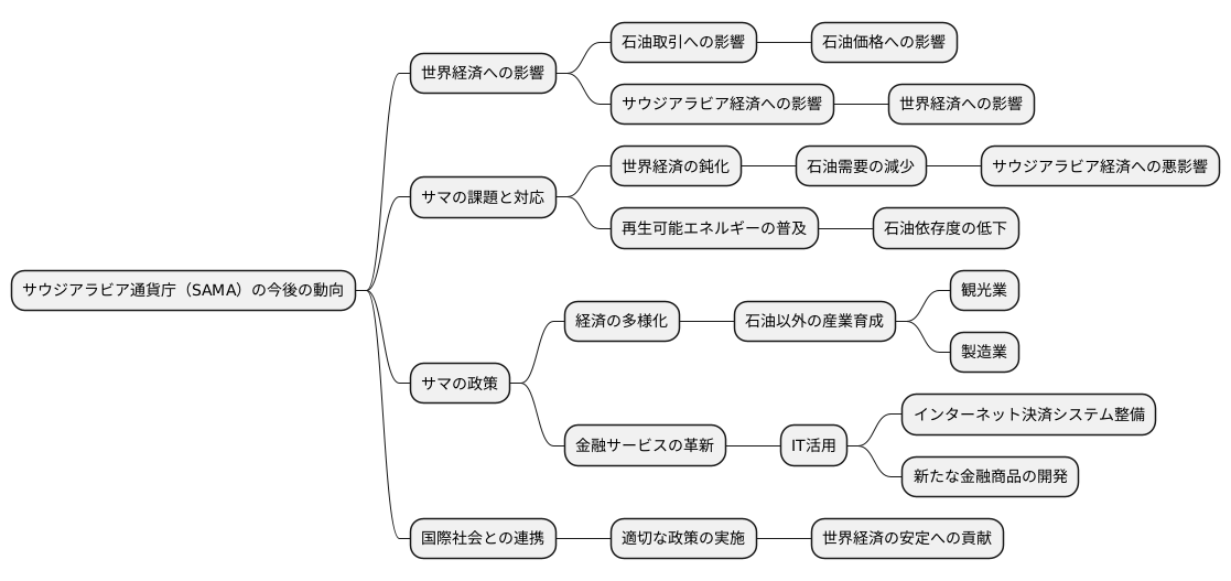 今後の展望