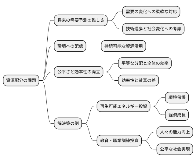 資源配分における課題